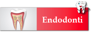endodonti-300x106