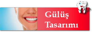 gulustasarimi-300x106